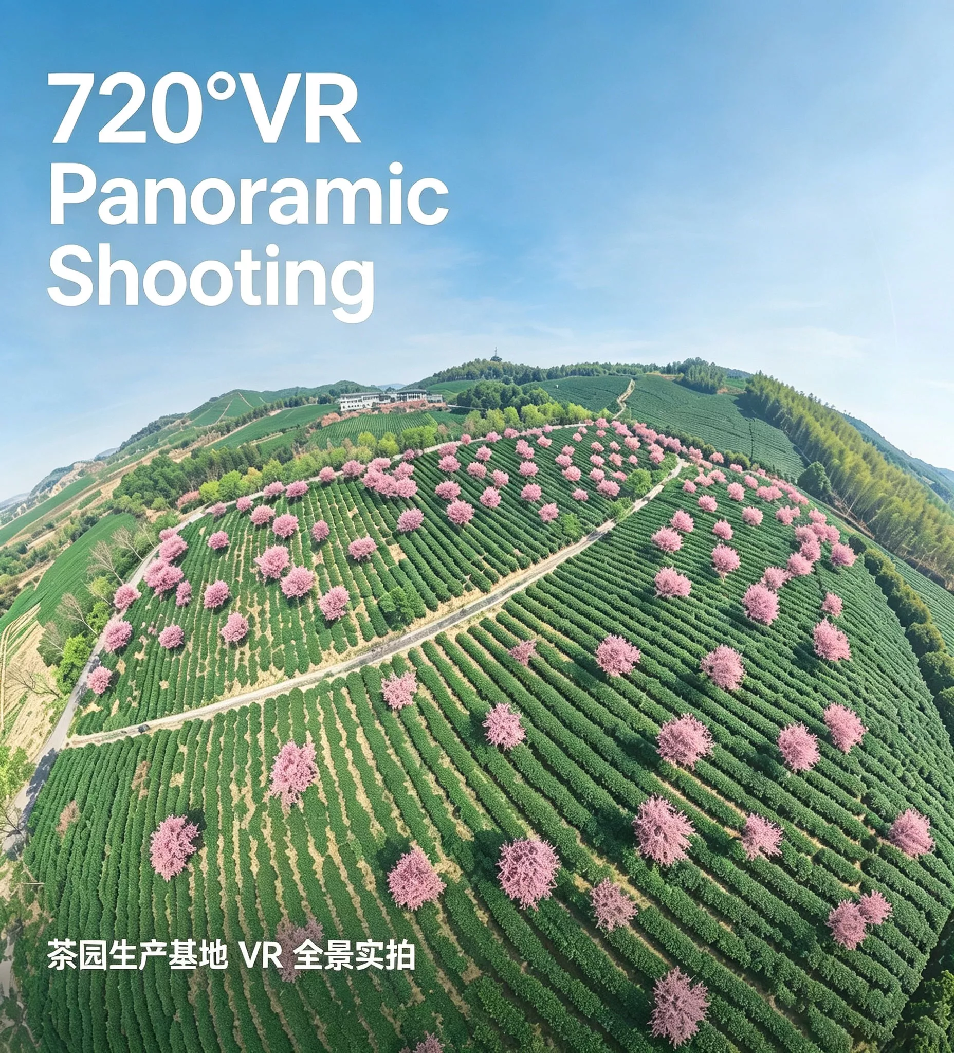 江苏宜兴乾元茶业VR全景（乾红）